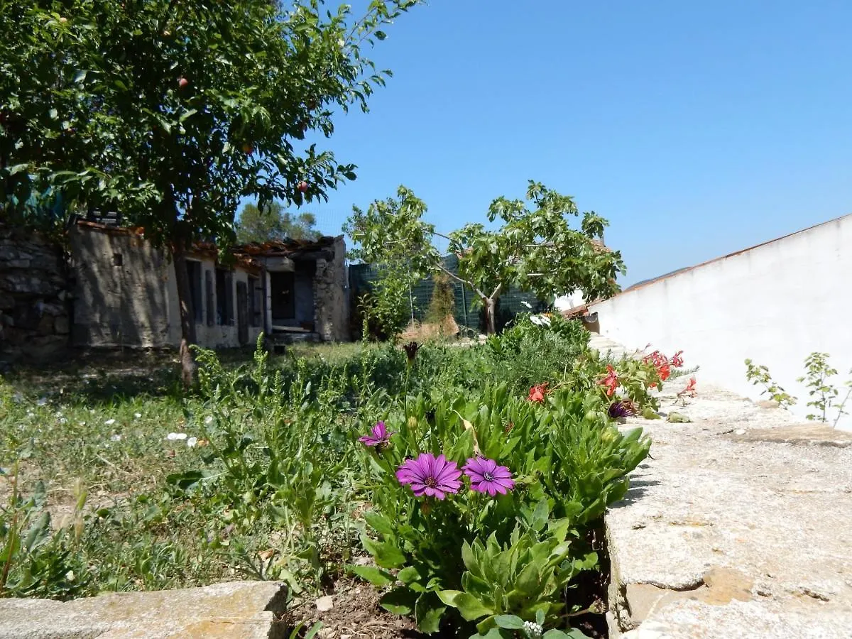 Dal Catta Casa Stella Villa Marina di Campo