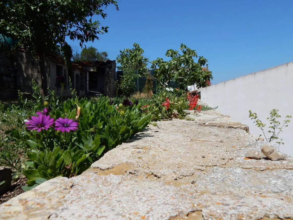 Holiday home Dal Catta Casa Stella Villa Marina di Campo